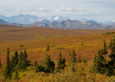 Photo of Denali National Park